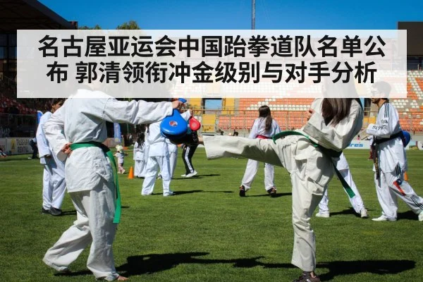 taekwondo athlete high kick